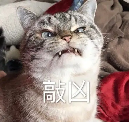 超凶loki猫表情包