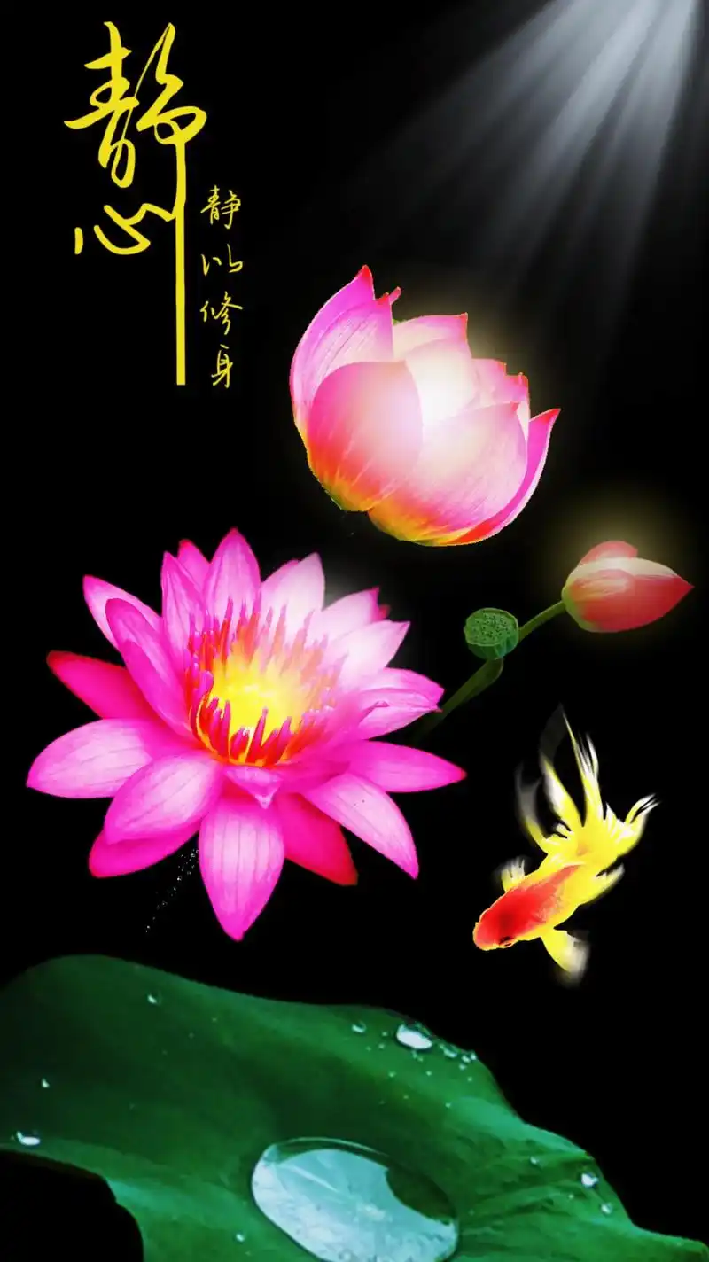 好运莲莲 #壁纸#抖音图文来了 #祝大家开心过好每一天 # - 抖音