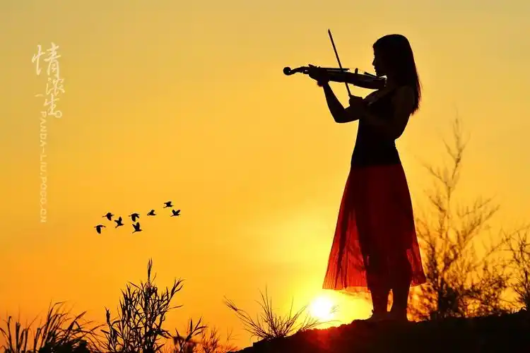 浓情一生の小提琴_人像_poco摄影,野外,琴,声,唯美,响起