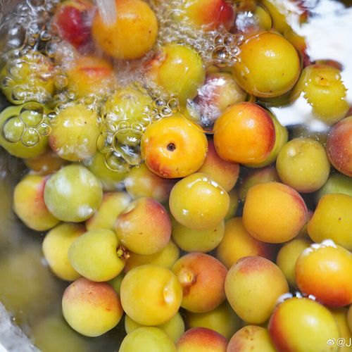 虎钢馋百草萝云南大理胭脂梅果新鲜现摘农家红梅泡酒梅子酵素鲜梅果子