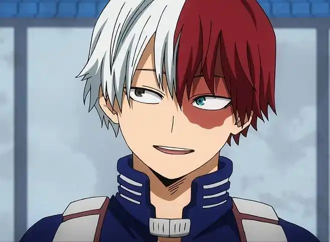 我的英雄学院轰焦冻