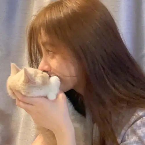 拿图点赞收藏二传注明dt笨蛋效应鞠婧祎头像