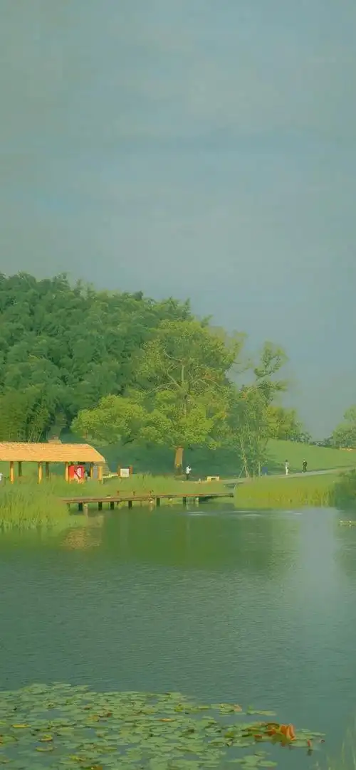 高清绿色系壁纸绿色系壁纸潮图