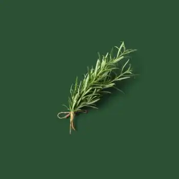 质感不反光黑灰色背景布商业摄影道具 品质哑光墨绿色背景纸78*109cm