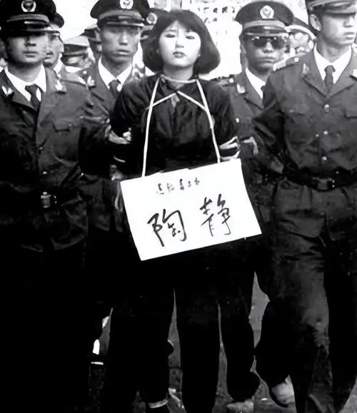 都无法相信长了这样一张无可挑剔脸庞的女孩子,竟然会是一个女毒贩