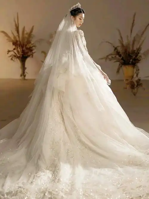 婚纱新款2024新娘长袖主纱超级重工大拖尾奢华齐地高级感法式迎宾