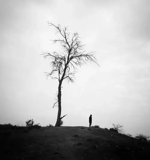 是梦境是感受其实孤独是生活常态