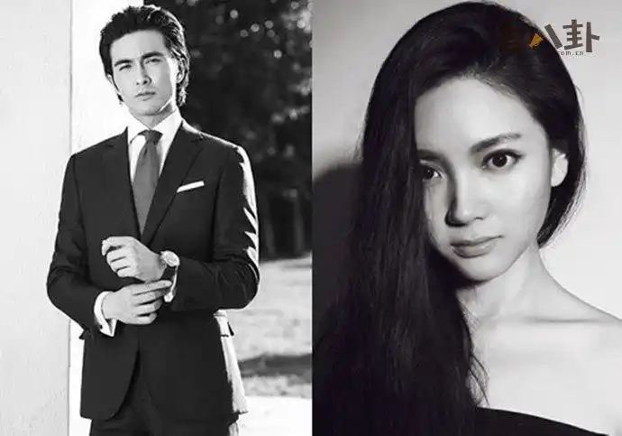 高伟光老婆杨吟吟是谁杨吟吟和高伟光真实关系