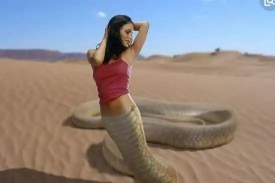 揭秘人头蛇身怪物之谜人的脑袋蛇的身体被巫师控制2