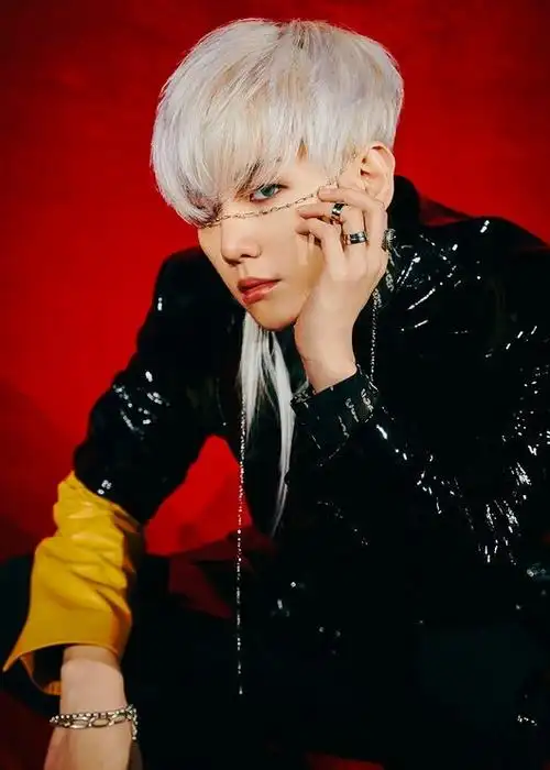 exo成员边伯贤公开第6张专辑《obsession》预告图片 关注出众的视觉效