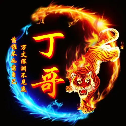 编号2548个性微信头像订制火焰龙虎威武霸气