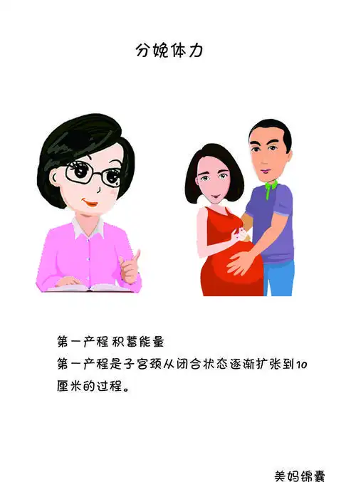 人类生育过程生孩子是从哪个部位生出来的