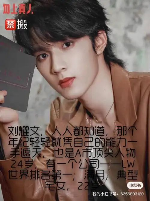 第一季只有四集,第二季有十集,第三季有三集#刘耀文甜文  #limerence