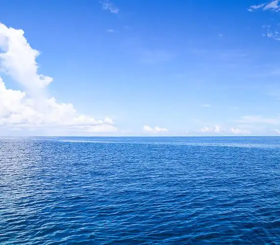 看似风平浪静的海洋,说不定存在着"隐形杀手"