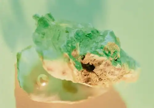 无人,横图,俯视,室内,特写,白天,贝壳,绿色背景,阴影,朦胧,模糊,反射