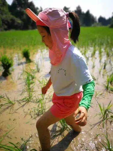 光着脚丫,踩着湿漉漉的泥巴上,新鲜又好玩.