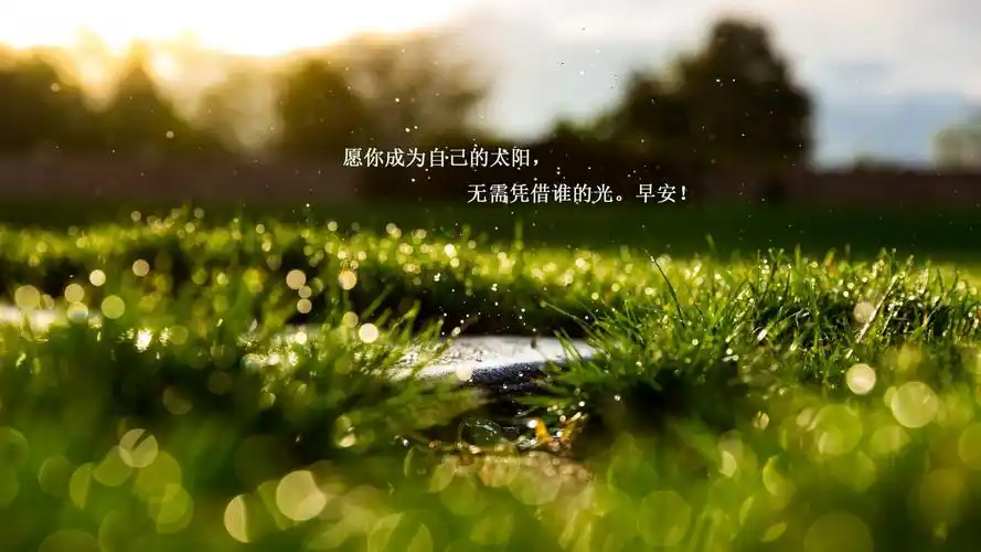 清新简约励志文字图片桌面壁纸高清大图预览1920x1080_高清壁纸下载_