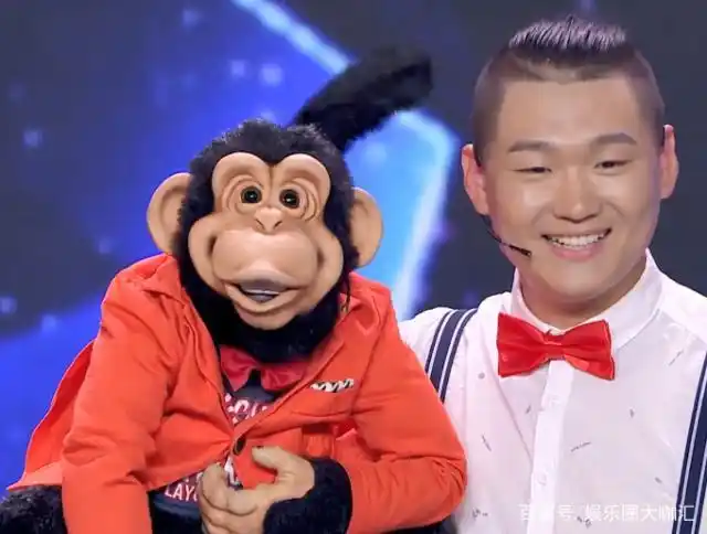 北京小哥腹语表演,杨幂称北京人有腹语的天赋,因为不爱张嘴说话