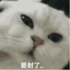 字母斯慕圈主nu日常聊天之表情包