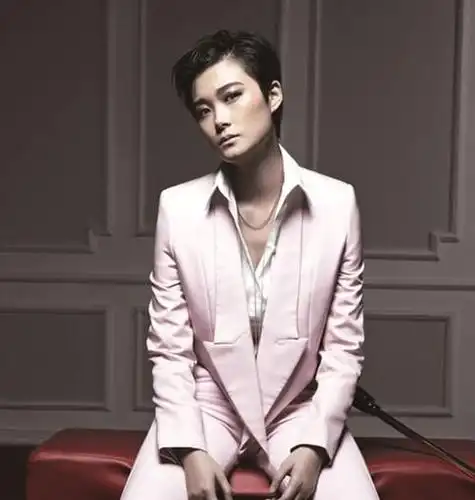 李宇春个人资料简介(李宇春家庭背景揭秘)(8)