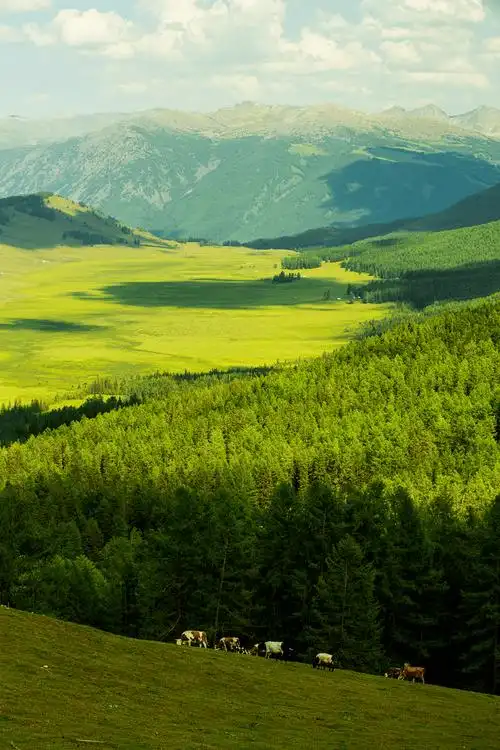 在"我的阿勒泰",从四季转场中,感受震撼与美_生活_天气_草原