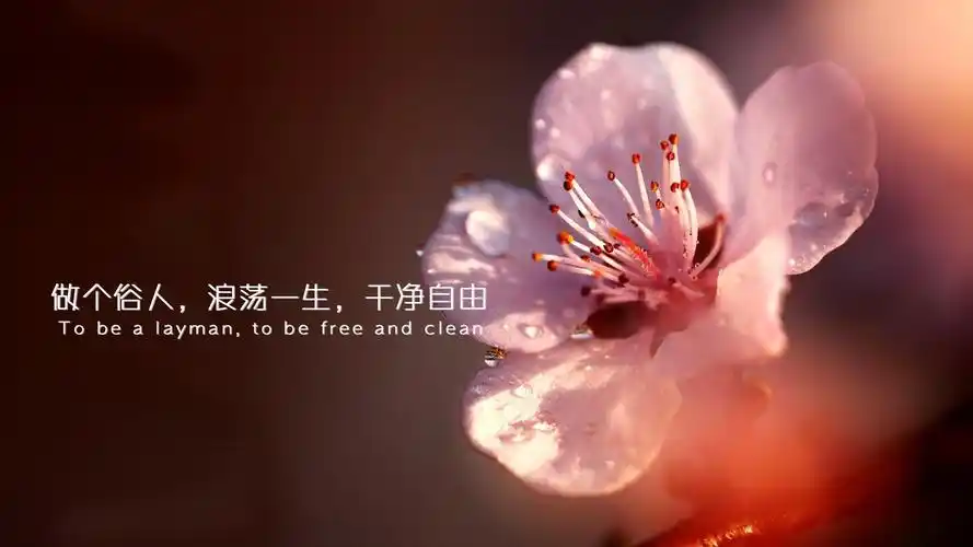 做个俗人浪荡一生干净自由带字图片