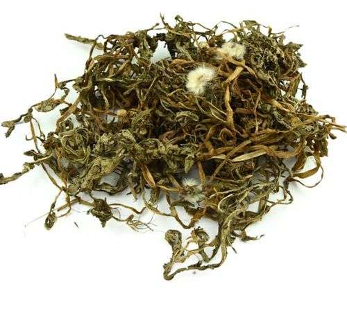 2件包邮优质中药材蒲公英公英野生正品中草药500克