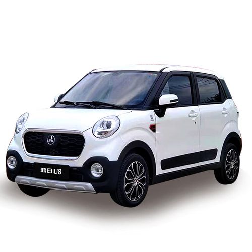 runtema鸿日u8高端电动四轮汽车冷暖空调油电低速家用新能源成人代步