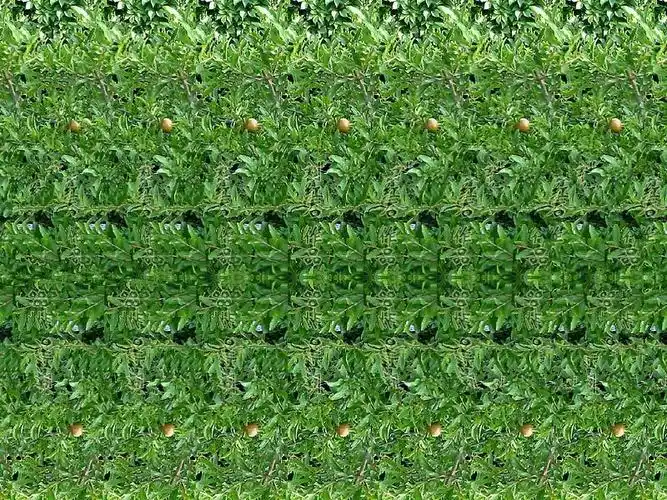 3d00图片_百度百科