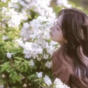 淡雅头像唯美图片女生头像