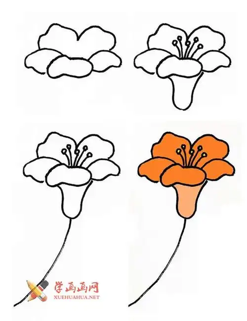 漂亮的花朵的简笔画画法教程【彩色】