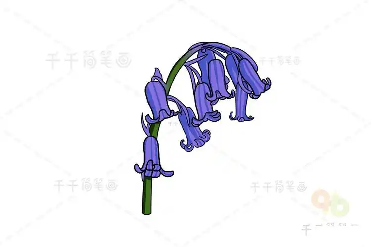 蓝铃花简笔画教程-儿童简笔画大全