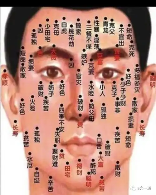 我们一起看看关于男人面相痣图解大全