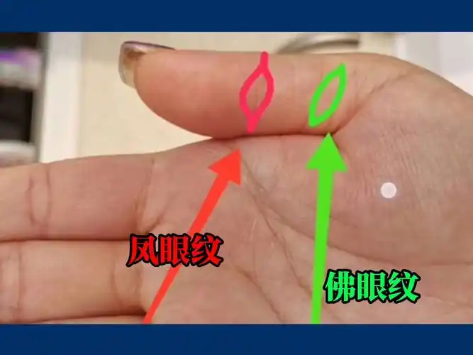 手相中的"凤眼纹"和"佛眼纹"!