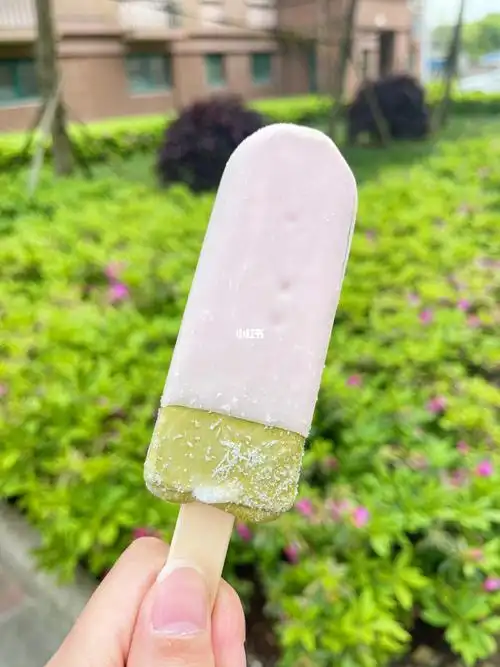 春日赏味|是吃不腻的白桃乌龙雪糕7515_雪糕_白桃乌龙_全家怎么样