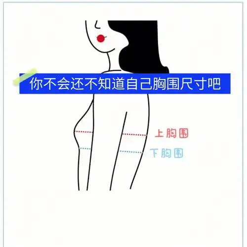穿什么尺码更不知道自己的上下胸围尺寸是多少天哪那都是怎么选内衣的