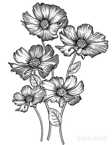 盛开的森林花朵, 详细的手绘矢量插图.浪漫的装饰花画线艺术.