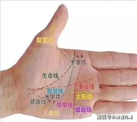 67相学——手相看运程_生命线_智慧_文化