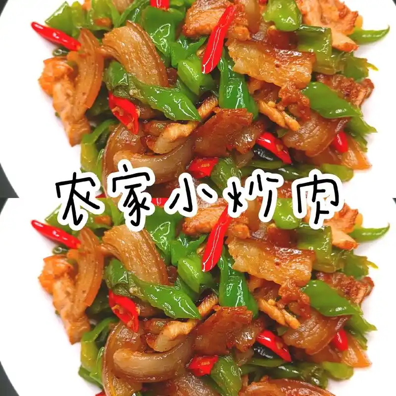 经典菜【农家小炒肉】好吃哭了…农家小炒肉的做法,非常下饭的家 - 抖