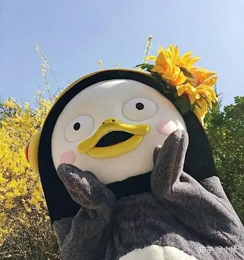 沙雕头像系列_个性搞怪沙雕系列头像_微信头像_沙雕头像系列,逗比沙雕