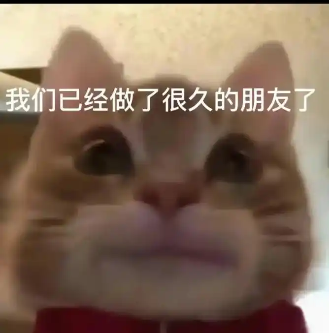 不甘心只和你做朋友 想做你爹.##歪嘴小猫表情包 #内容过于 - 抖音