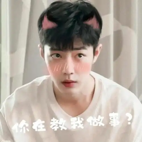 肖战看了都要保存的表情包