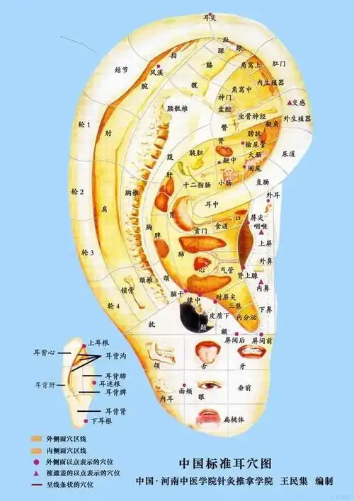 耳朵上出现这些特征是大病的征兆