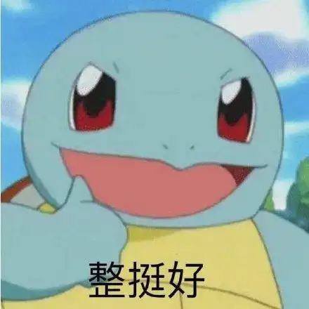 整挺好(杰尼龟)_杰尼龟_整挺表情