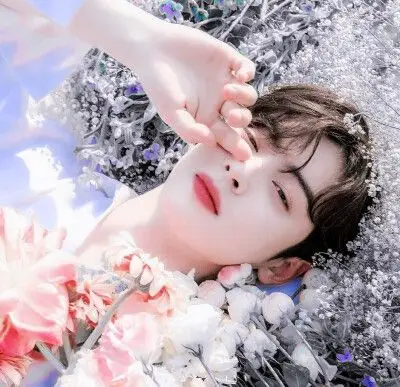 边伯贤少年与花