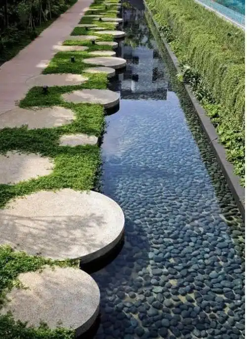 水景景观设计师证考了有什么用?考试流程和费用一网打尽!