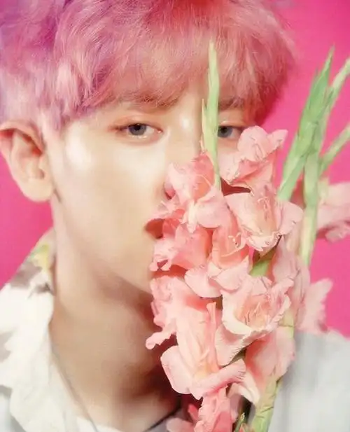 朴灿烈生图##朴灿烈照片