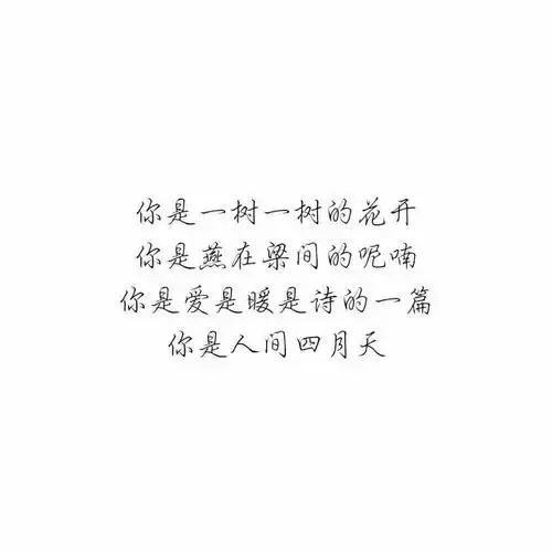 唯美表白文字
