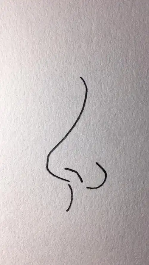 简笔画#鼻子的快速画法,你学会了吗?