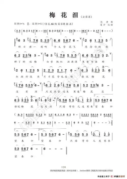 梅花泪_简谱